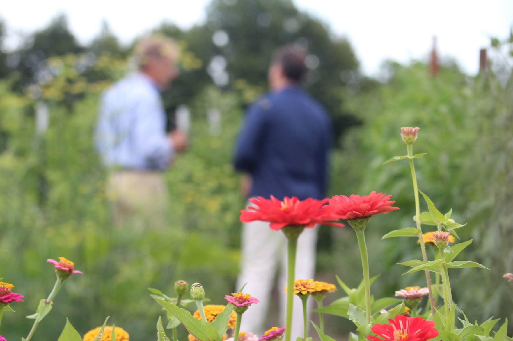 3rd Annual Farm to Table Dinner
